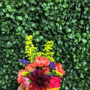 Meet your Posher, Erica